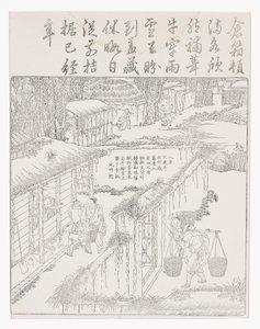 储存大米 作者 学校中文