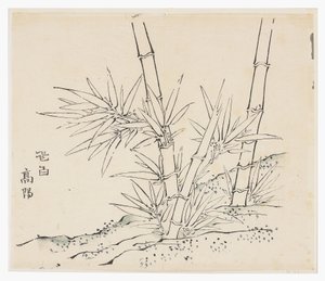 十竹系列 作者 学校中文