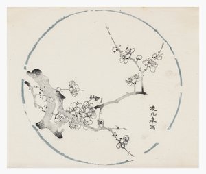十竹系列 作者 学校中文