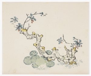十竹系列 作者 学校中文