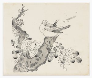 十竹系列 作者 学校中文