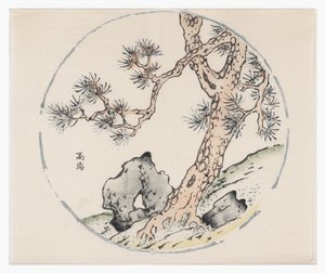 十竹系列 作者 学校中文