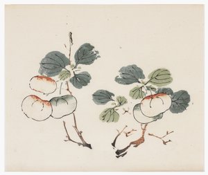 十竹系列 作者 学校中文
