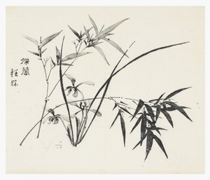 十竹系列 作者 学校中文