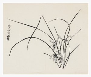 十竹系列 作者 学校中文