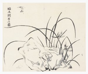 十竹系列 作者 学校中文