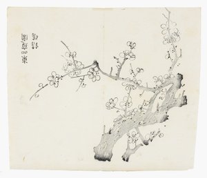 十竹系列 作者 学校中文