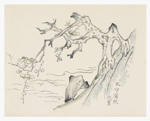 十竹系列 作者 学校中文