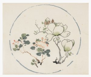 十竹系列 作者 学校中文