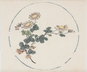 十竹系列 作者 学校中文
