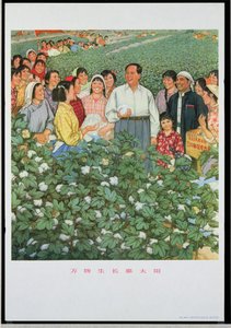"万物生长，感谢太阳"，中国文化大革命时期的宣传画 作者 学校中文