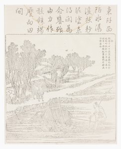 干旱天气下的稻田耕作 作者 学校中文