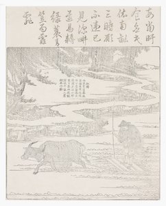 在暴风雨中耕种稻田 作者 学校中文