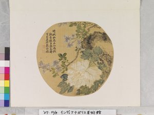 恽寿平之后的白牡丹 作者 学校中文