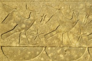 古埃及、壁画/雕刻、代表埃及各部落的立翼鸟、卢克索卡纳克神庙（照片） 作者 埃及学校