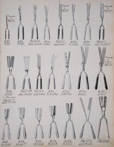 卷发钳，来自家庭用品和配件的贸易目录，约1890-1910年（彩色平印）。 作者 学校英语