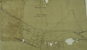威尔斯登地图，伦敦（石印）。 作者 学校英语