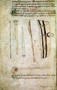 亨特女士112页44v摘自约翰-阿德恩的《血样学》，约1349-1450年（牛皮纸上的笔墨）。 作者 学校英语
