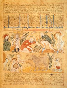 安德罗门那德罗斯，药剂师，调查农业工作，插图选自《Kitab al-Diryaq》解毒书，伪加伦著（牛皮纸）