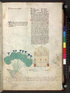 埃格顿 747 Tractatus de herbis（《本草纲目》），约 1280-1310 年（牛皮纸上的墨水和色彩） 作者 学校意大利语