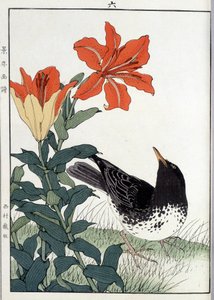 黑鸟和百合花 - 日本印刷品 作者 日本学校