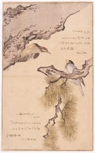 树上的两只鸟 作者 学校日语