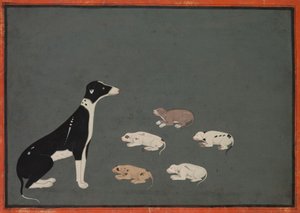 带小狗的狗，约 1780 年（纸上墨水和不透明水彩画） 作者 莫卧儿学校