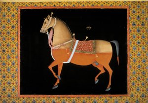 莫戈尔艺术：表现一匹骏马。18世纪水粉画。巴黎，B.N.