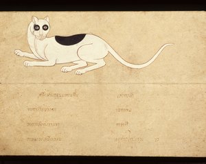 关于暹罗猫的手稿叶片，20 世纪初（纸面水彩画）