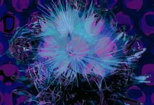 Artichoke (digital) 作者 斯科特·戴维斯（Scott J.Davis）