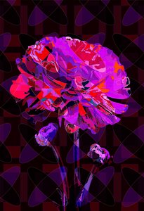 康乃馨4, 2019 作者 斯科特·戴维斯（Scott J.Davis）