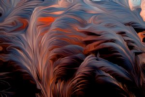 羽毛 作者 斯科特·戴维斯（Scott J.Davis）