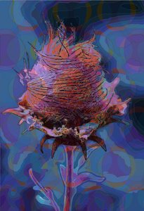 伍德-阿文斯，2019 年 作者 斯科特·戴维斯（Scott J.Davis）