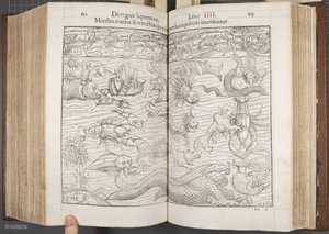 Cosmographia，Fol 852-853,1544 作者 塞巴斯蒂安·芒斯特（Sebastian Munster）