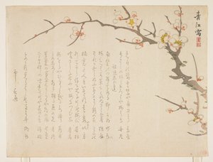 开花李子，1837年1月（彩色木版画） 作者 桥本精