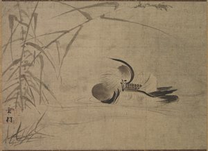 鸭1500年代。 作者 塞森·史凯