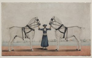 牵着两匹马车的 Syce（新郎），c.1845（不透明水彩纸本） 作者 Karraya 的 Shaik Muhammad Amir (attr. to)