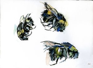 蜜蜂研究》，2024 年（纸本水墨画）