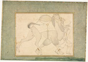 骆驼和新郎，单页插图，约1545-1576。 作者 谢赫·穆罕默德（Sheikh Muhammad）