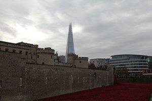 鲜血席卷红色土地和海洋，伦敦塔，2014年。
