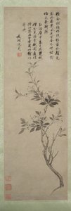 花蟹苹果，1500。