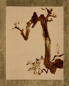 乌鸦在树上。 作者 Shibata Zeshin