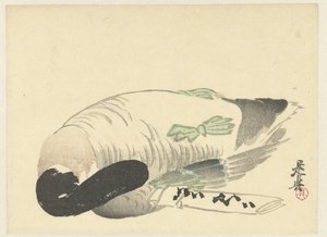 Dode eend naast gevouwen brief 作者 Shibata Zeshin