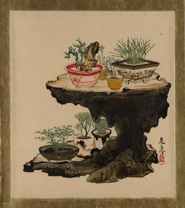 各种题材的漆画：盆景，1882年。 作者 Shibata Zeshin
