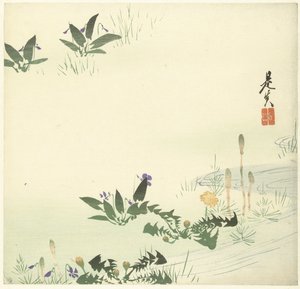 Voorjaarsbloemen bij een stroompje 作者 Shibata Zeshin