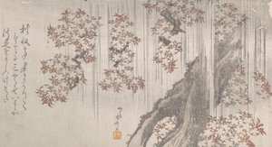 雨中的樱花，19世纪。, 19世纪。