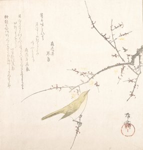 New Moon, Nightingale on a Plum Branch, 19th century., 19世纪。