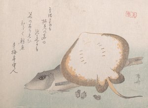 Stingray and Gurnard, probably 1815., probably 1815. 作者 心斋