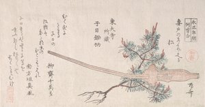 Young Pine Tree and the Handle of a Plow, 19th century., 19世纪。 作者 心斋