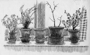 窗台上的死亡植物，1952年。 作者 雪莉·马卡姆